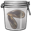 Mussels in a Jar