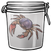 River Crab in a Jar