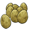 Dodo Eggs